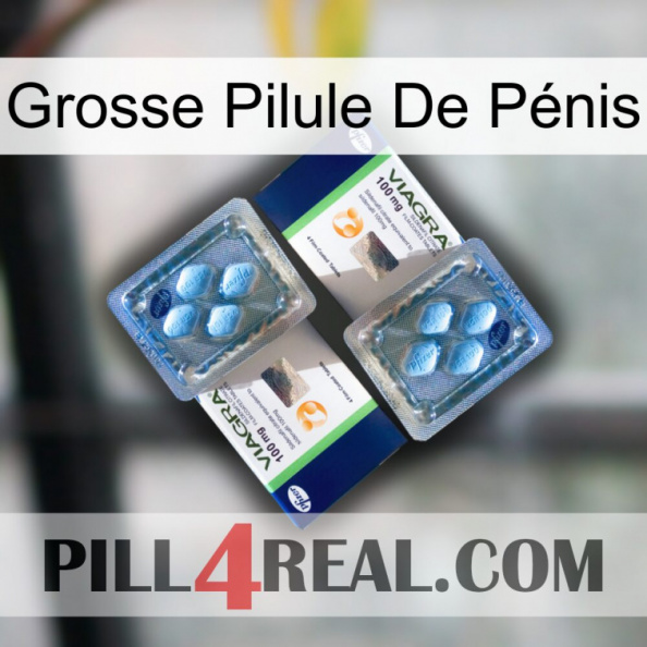 Grosse Pilule De Pénis viagra5